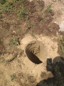 Project Image of 1665.0 - 2754.0 Sq.ft Residential Plot Plot for buy in Alekhya Anantha County