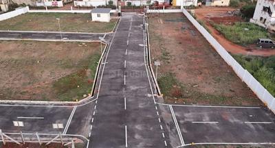 Project Images