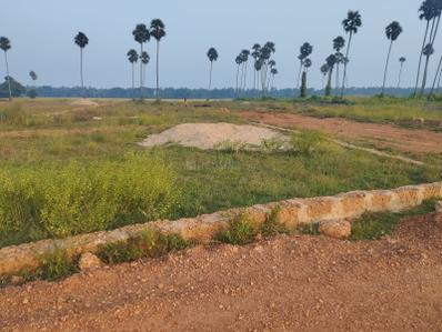 Project Image of 1500.0 - 5000.0 Sq.ft Residential Plot Plot for buy in Swarna Modern Village