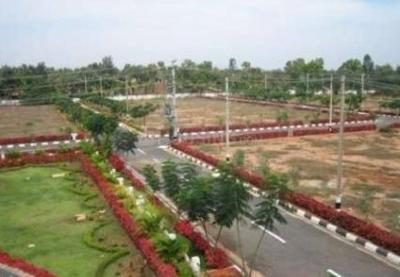 Project Image of 1400.0 - 2693.0 Sq.ft Residential Plot Plot for buy in Golden Ira Plots