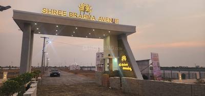 Project Image of 0.0 - 1200.0 Sq.ft Residential Plot Plot for buy in Shree Brahma Avenue