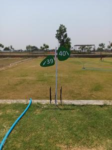 Project Image of 810.0 - 1602.0 Sq.ft Residential Plot Plot for buy in Corona Greens