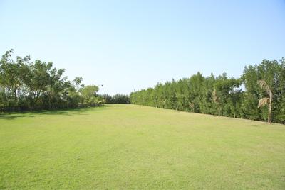 Project Image of 900.0 - 5400.0 Sq.ft Residential Plot Plot for buy in JD Balaji Dream City