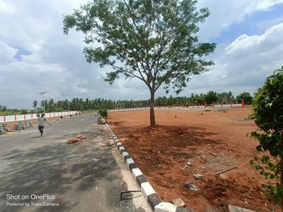 Project Image of 812.0 - 1902.0 Sq.ft Residential Plot Plot for buy in Senthur Star Avenue