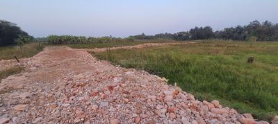 Project Image of 720.0 - 3600.0 Sq.ft Residential Plot Plot for buy in Natures Paradise Phase II