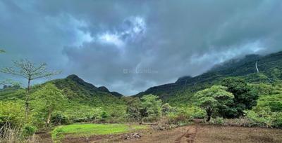 Project Image of 1615.0 - 3230.0 Sq.ft Residential Plot Plot for buy in Wadhwa Heirloom Land