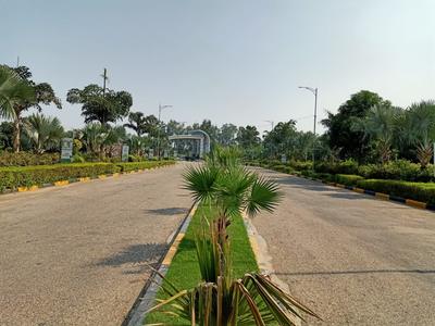 Project Image of 900.0 - 9000.0 Sq.ft Residential Plot Plot for buy in AMG Palm Garden