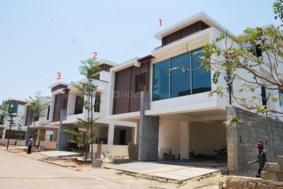 Radha River Age Elevation 2