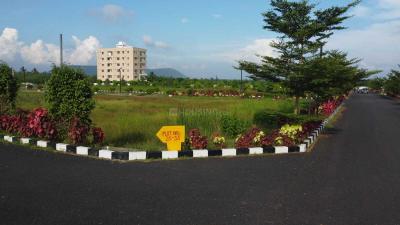 Project Images