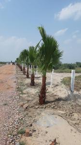 Project Image of 900.0 - 1800.0 Sq.ft Residential Plot Plot for buy in Land Science The Lake City Plots