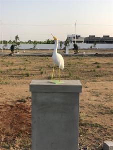 Project Image of 600.0 - 2646.0 Sq.ft Residential Plot Plot for buy in 3S KCP Garden