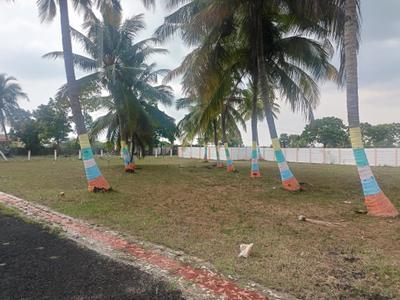 Project Image of 1100.0 - 2300.0 Sq.ft Residential Plot Plot for buy in CCP Signature City