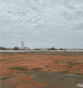 Project Images