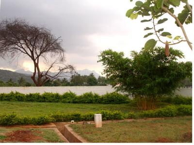 Project Image of 1617.0 - 4370.0 Sq.ft Residential Plot Plot for buy in Global Greens
