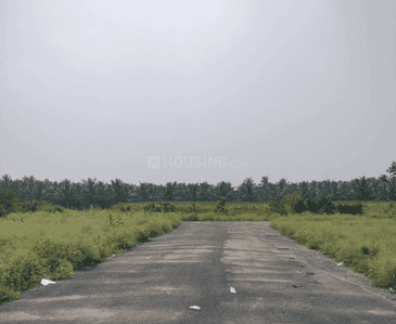 Project Images