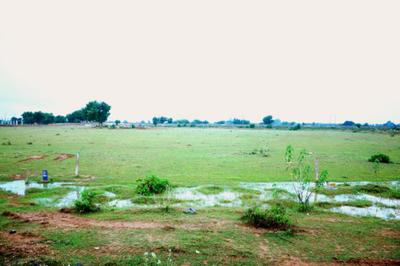 Project Image of 1125.04 - 4499.96 Sq.ft Residential Plot Plot for buy in Kamla Vihar