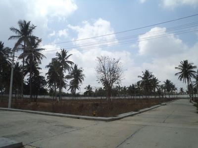 Project Image of 1200.0 - 2400.0 Sq.ft Residential Plot Plot for buy in Confident Regulus