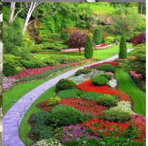 Project Image of 0.0 - 889.0 Sq.ft 3 BHK Apartment for buy in Mansi Maniratna Complex C1