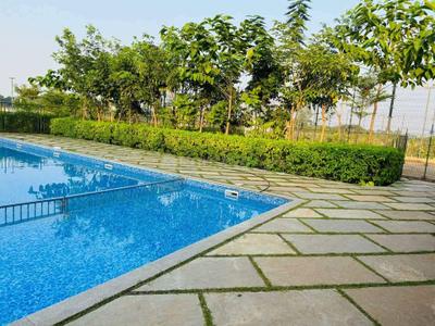 Project Image of 7650 Sq.ft Residential Plot / Land for sale in Kumhari for Rs. 3450000