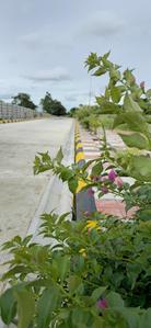 Project Image of 1350.0 - 6641.0 Sq.ft Residential Plot Plot for buy in Akshita Golden Breeze