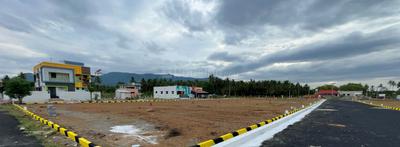 Project Images