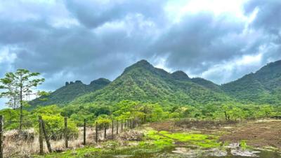 Project Image of 1615.0 - 3230.0 Sq.ft Residential Plot Plot for buy in Wadhwa Heirloom Land