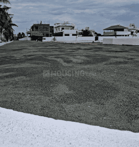 Project Images
