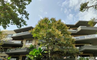 Project Image of 637.44 - 1528.58 Sq.ft 1 BHK Apartment for buy in JRC Wild Woods Phase III