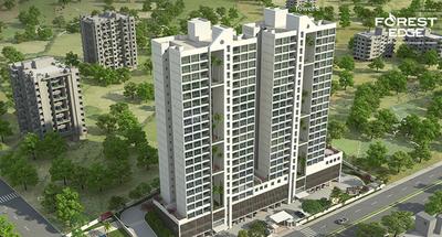 Vascon Forest Edge Phase 2 Images for Project 2