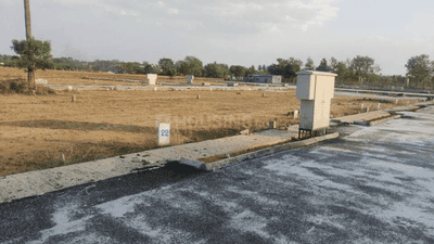 Project Images