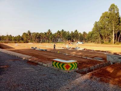 Project Image of 600.0 - 1769.0 Sq.ft Residential Plot Plot for buy in DSR Krishna Garden