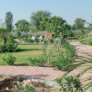 Gallery Cover Pic of Happy The Pleasure Garden