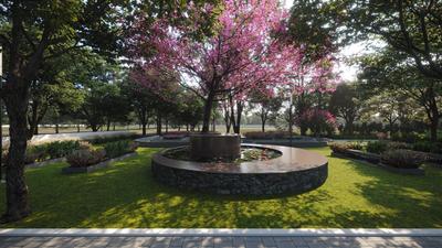 Pleasure Spaces Nirvana Landscape Garden and Tree Planting 2