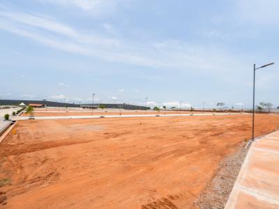 Project Image of 673.0 - 3831.0 Sq.ft Residential Plot Plot for buy in Temple View