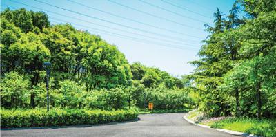 Project Image of 5000 Sq.ft Residential Plot / Land for sale in Gudighattanahalli for Rs. 12000000