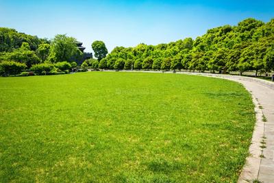 Project Image of 1188.0 - 3800.0 Sq.ft Residential Plot Plot for buy in SSE Pinakini Life Spaces Phase 1