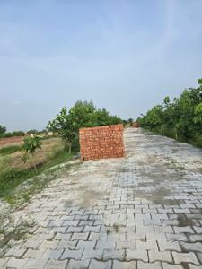 Project Image of 900.0 - 1350.0 Sq.ft Residential Plot Plot for buy in Braj Shree Ji Cottage And Farms