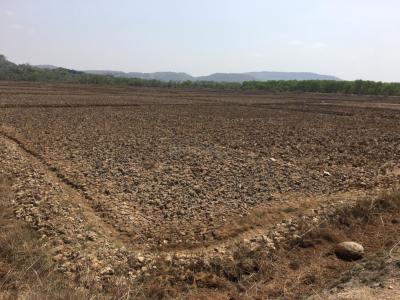 Project Image of 1000.0 - 10000.0 Sq.ft Residential Plot Plot for buy in Farm N Land Panvel