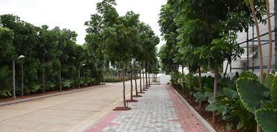 Project Image of 8802 Sq.ft Residential Plot / Land for sale in Osman Nagar for Rs. 97800000