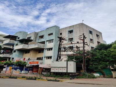 Creative Shelters Creative Lifestyle Others 1