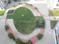 Silver Springs Apartments Landscaped Gardens 3