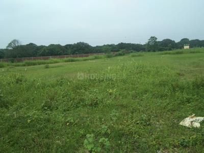 Project Image of 899.97 - 8099.95 Sq.ft Residential Plot Plot for buy in Hanukripa Phase 1
