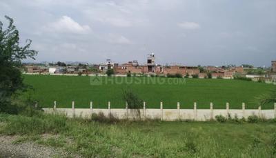 Project Image of 650.0 - 2700.0 Sq.ft Residential Plot Plot for buy in Reedocs City Part 1