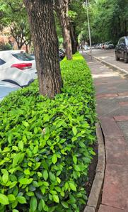 Project Image of 325.0 - 700.0 Sq.ft 1 BHK Apartment for buy in The Park Street