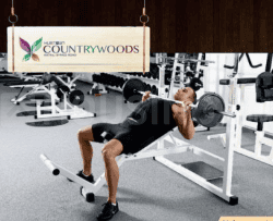 Project Image of 609.0 - 683.0 Sq.ft 2 BHK Apartment for buy in Hubtown Countrywoods Building 2