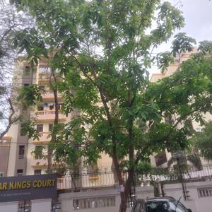 Project Image of 0.0 - 1340.0 Sq.ft 3 BHK Apartment for buy in Stellar Kings Court