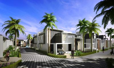 Project Images