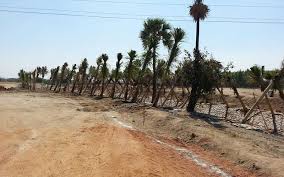 Project Image of 0.0 - 1800.0 Sq.ft Residential Plot Plot for buy in Pooja Sindhuvanam