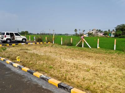Project Image of 650.0 - 1600.0 Sq.ft Residential Plot Plot for buy in Crown Oxi Zone Green Garden