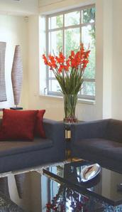 Skywards Regency Living Area 1